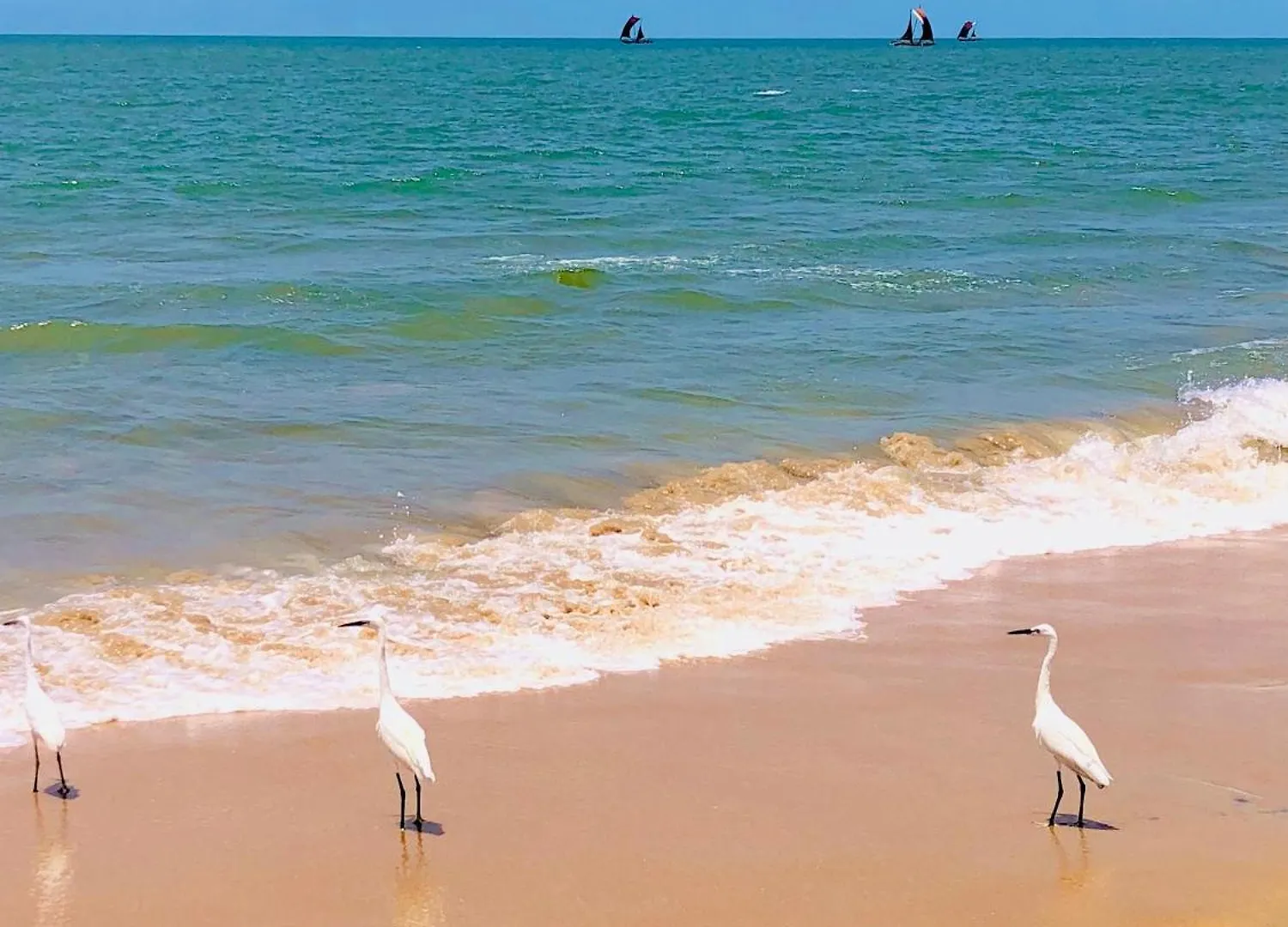 Villa Serenity Negombo Guest house